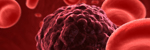 Cancer Cell