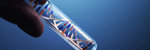 DNA