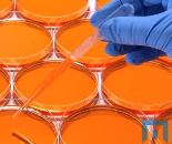Molecular_Diagnostics_Thumbnail_-_Cropped