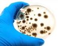 Food_Safety_Thumbnail_-_Cropped