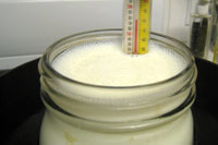 Yogurt-making.jpg