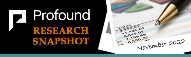 Newspapers-header-industry-snapshot-covid-november