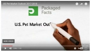 Check Out MarketResearch.com’s New Video Series